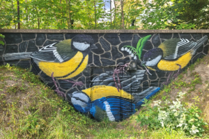 Tiaiset. Kuva: Jari Linnavuori